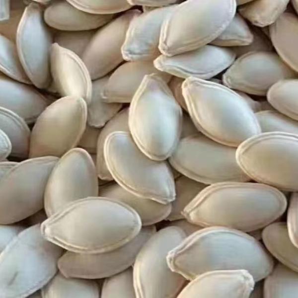 Pumpkin seeds 9-11